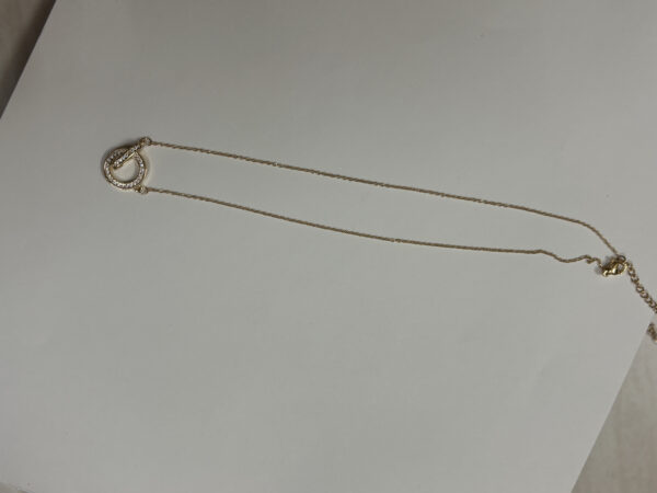 gold plated necklace with interlocking circles on white background