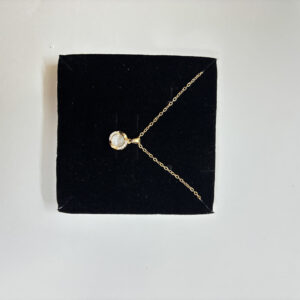 Golden necklace with mother of pearl center on marble tray