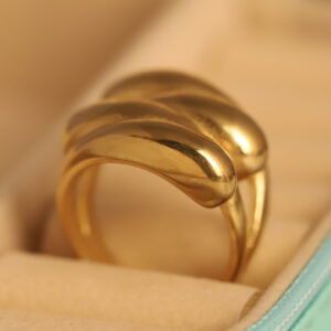 Dual Curve Elegance Ring